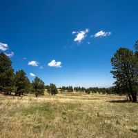 Bonito Canyon Ranch images 5