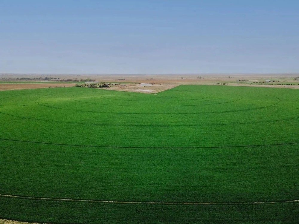 Otero County Irrigated Farm featured image