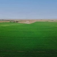 Otero County Irrigated Farm images 1