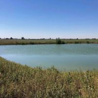 Otero County Irrigated Farm images 3