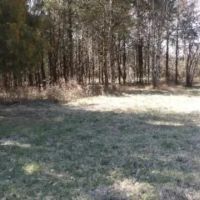 Needmore Rd images 2