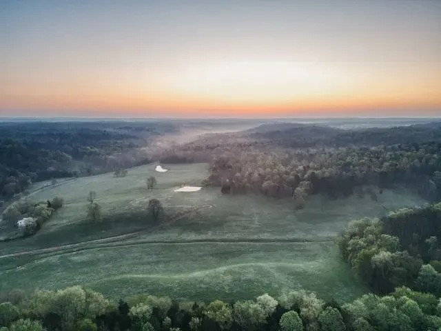 205 Acres of Land in Nunnelly Tennessee for Sale - Pinewood Estates featured image