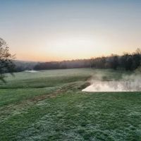 205 Acres of Land in Nunnelly Tennessee for Sale - Pinewood Estates images 2