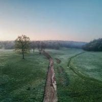 205 Acres of Land in Nunnelly Tennessee for Sale - Pinewood Estates images 4