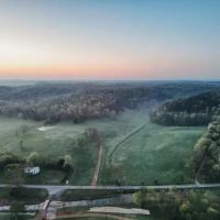205 Acres of Land in Nunnelly Tennessee for Sale - Pinewood Estates images 5