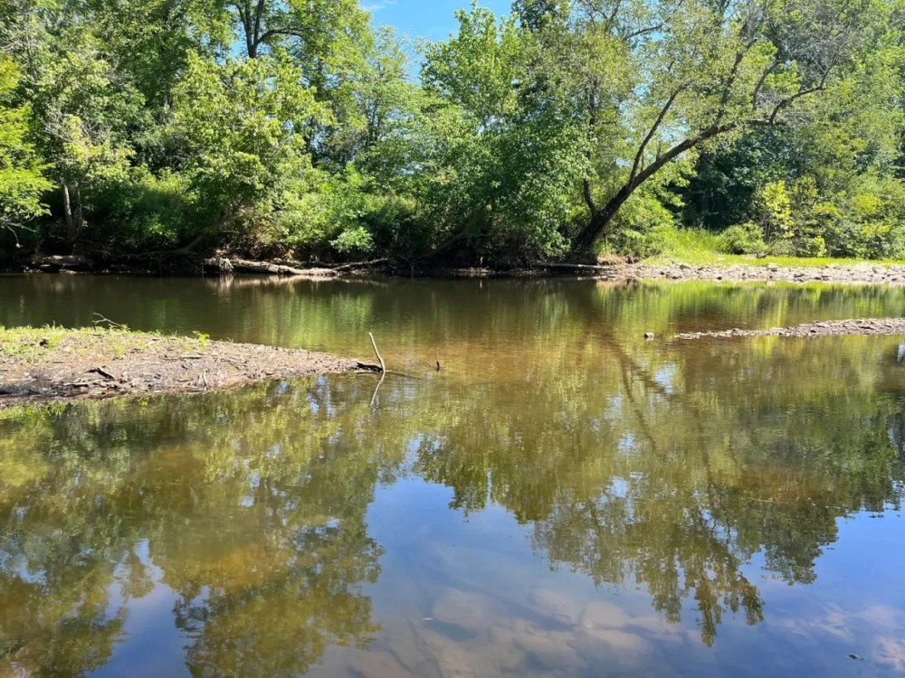 40 Acres For Sale in Leslie Ar featured image