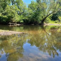 40 Acres For Sale in Leslie Ar
