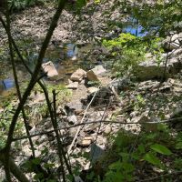 40 Acres For Sale in Leslie Ar images 4