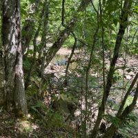 40 Acres For Sale in Leslie Ar images 5