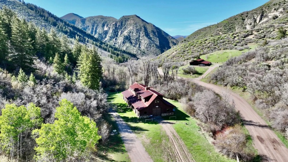 Royal Coyote Ranch featured image