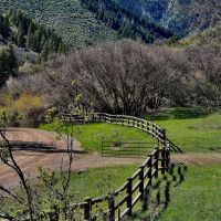 Royal Coyote Ranch images 4