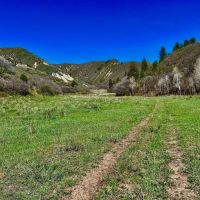 Royal Coyote Ranch images 5