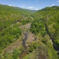 Serene Haven in East Tennessee Embrace Nature s Splendor images 3