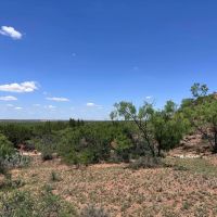 New Listing 600 - Ac Fisher County images 5