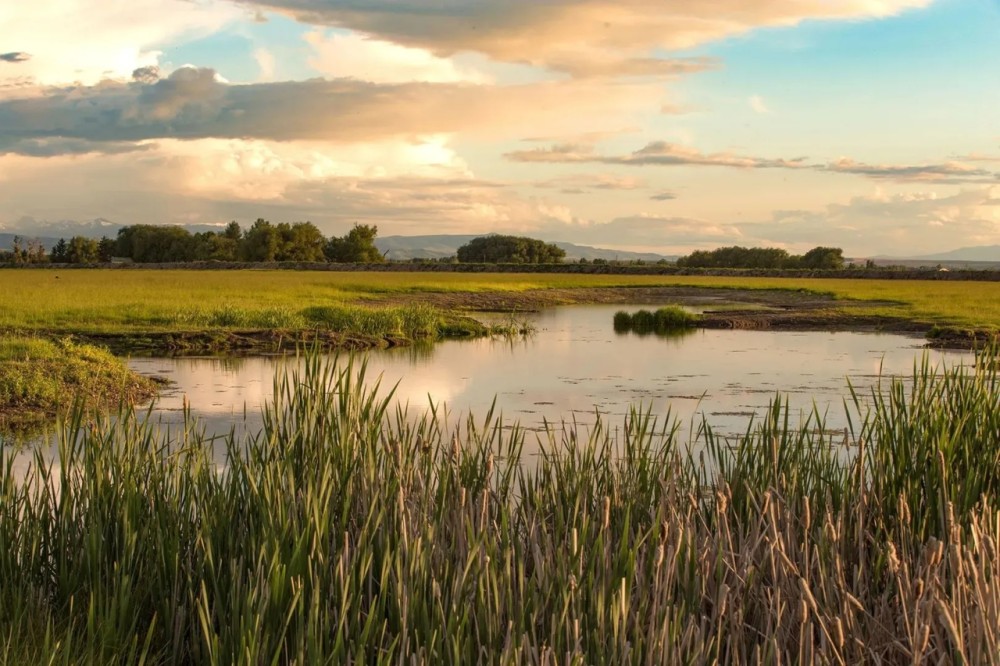 Story Creek Preserve featured image