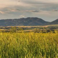 Story Creek Preserve images 4