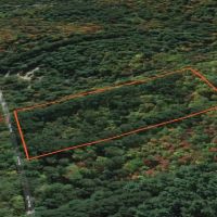 4 acre Wooded Camp Lot in Dickinson NY images 4