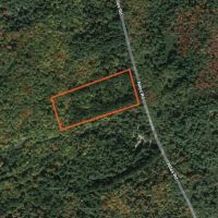 4 acre Wooded Camp Lot in Dickinson NY images 5