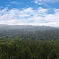 Banks County Georgia Large Acreage Tract