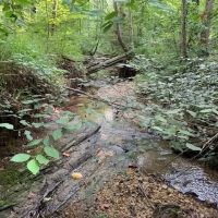 Banks County Georgia Large Acreage Tract images 4