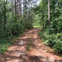 Banks County Georgia Large Acreage Tract images 5