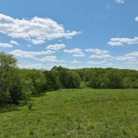 TBD Colt Ln Gorin MO