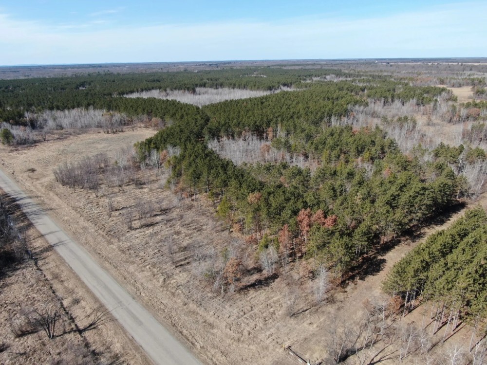Juneau County WI 200-Acre Tract of Land featured image