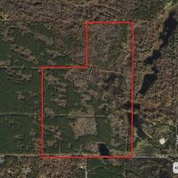 Juneau County WI 200-Acre Tract of Land images 2