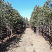 Juneau County WI 200-Acre Tract of Land images 3