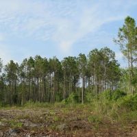 Smith Road Tract