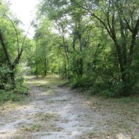Smith Road Tract images 4
