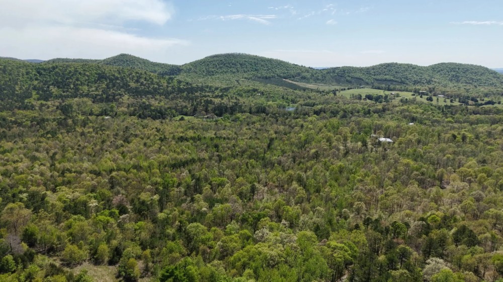 11.24 Acres in Polk County AR featured image