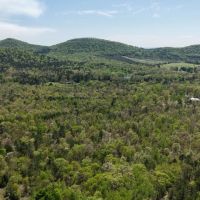 11.24 Acres in Polk County AR