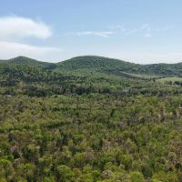 11.24 Acres in Polk County AR images 3