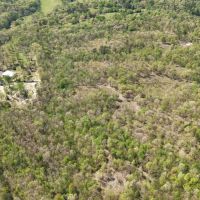 11.24 Acres in Polk County AR images 5