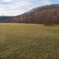 Bryant Creek Farm For Sale With Excellent Hunting And Income Potential images 5