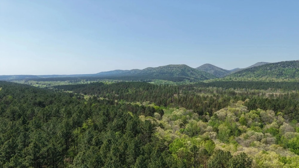 20 Acres in Pike County AR featured image