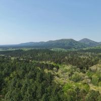 20 Acres in Pike County AR