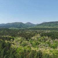 20 Acres in Pike County AR images 2