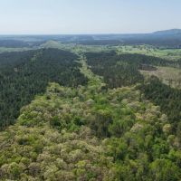 20 Acres in Pike County AR images 3