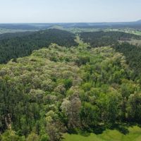 20 Acres in Pike County AR images 5