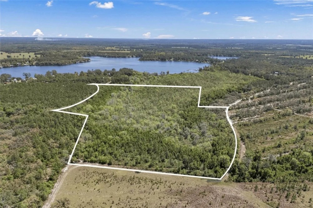 30 Acres of Wooded Land for Sale in Hawthorne FL featured image