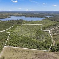 30 Acres of Wooded Land for Sale in Hawthorne FL