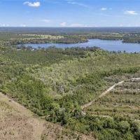 30 Acres of Wooded Land for Sale in Hawthorne FL images 2