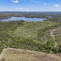30 Acres of Wooded Land for Sale in Hawthorne FL images 3
