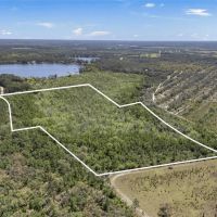 30 Acres of Wooded Land for Sale in Hawthorne FL images 4