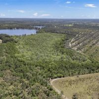 30 Acres of Wooded Land for Sale in Hawthorne FL images 5