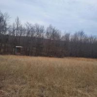 38 Acres of Land with Cabin in Cave City Arkansas for Sale images 3