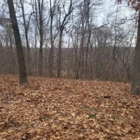 38 Acres of Land with Cabin in Cave City Arkansas for Sale images 4