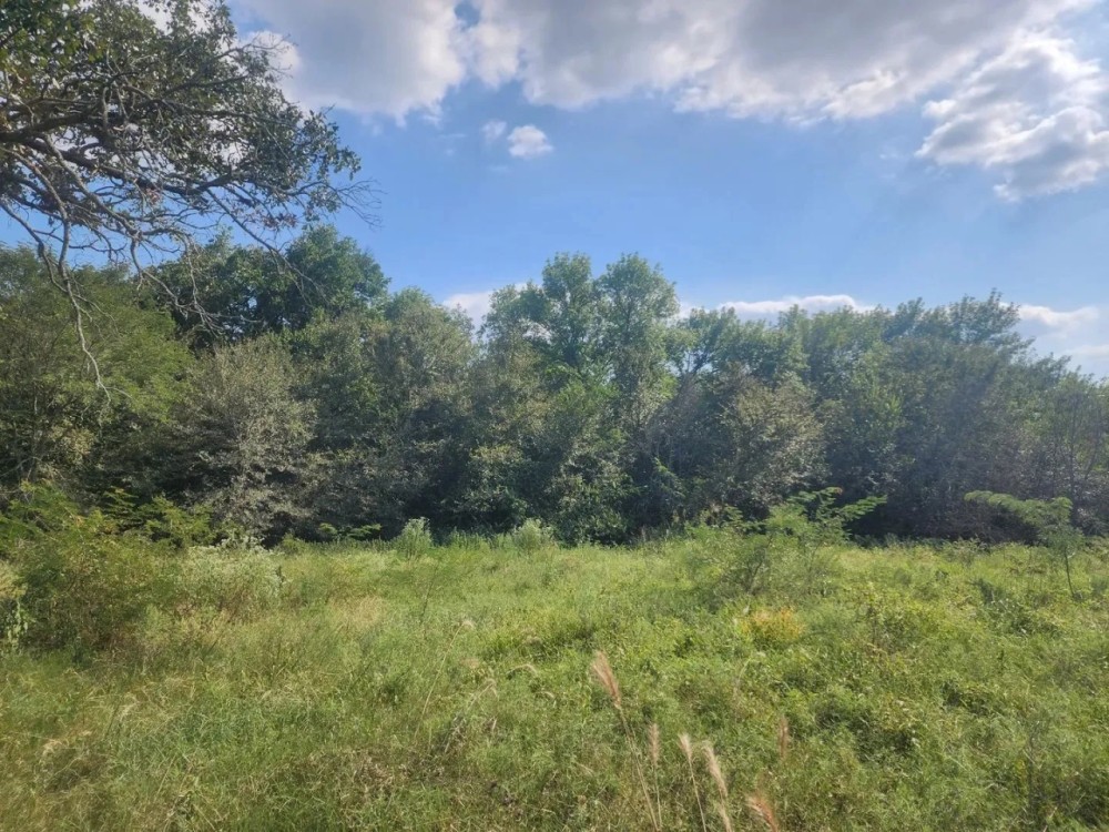 Hwy 271 Acreage featured image